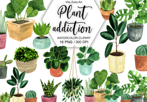 Download House Plant Clipart, Indoor Plants PNG - Plant clipart Collection