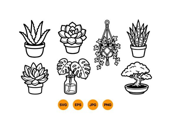Download Indoor Plant Clipart Collection - Plant clipart Collection