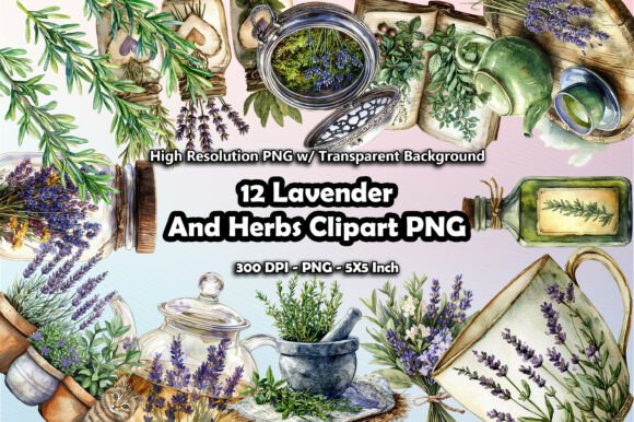 Download 12 Lavender and Herbs Plant Clipart PNG - Plant clipart Collection