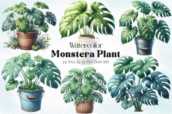 Download Monstera Plant Clipart - Plant clipart Collection