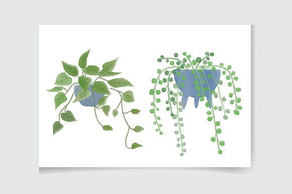 Download House Plant Clipart, Indoor Plants - Plant clipart Collection