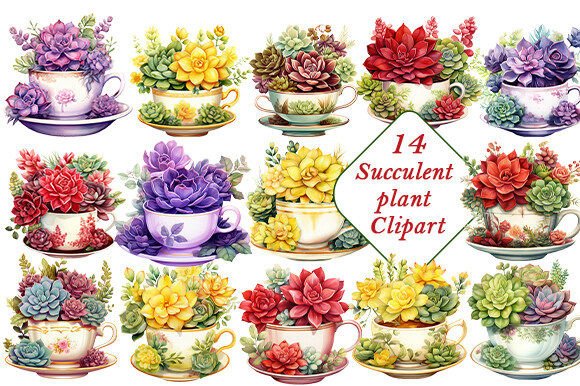 Download Succulent Flower Plant Clipart . - Premium Resources